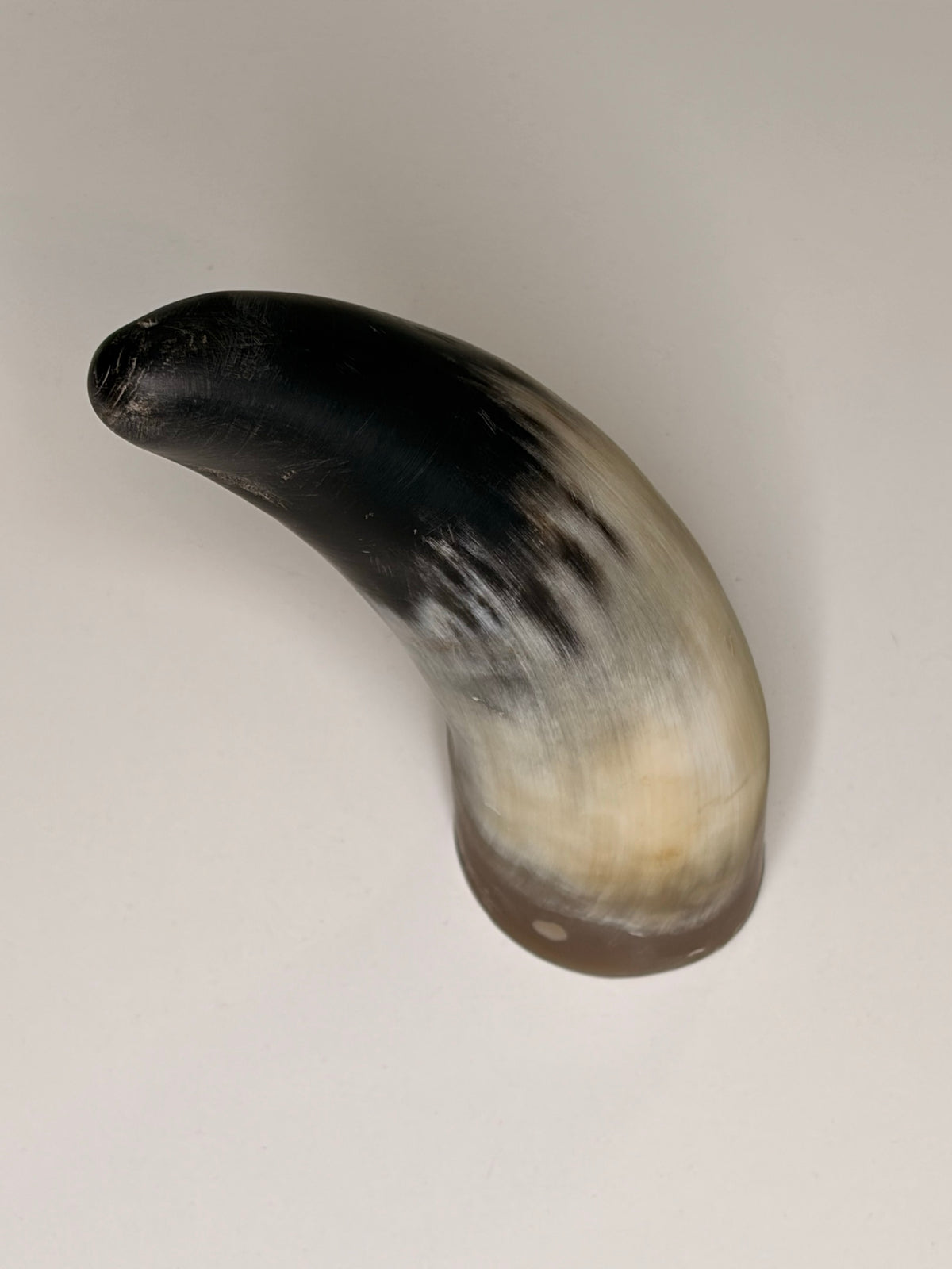 Bruno Horn-Unikat 2026-01-01 – Hauptbild