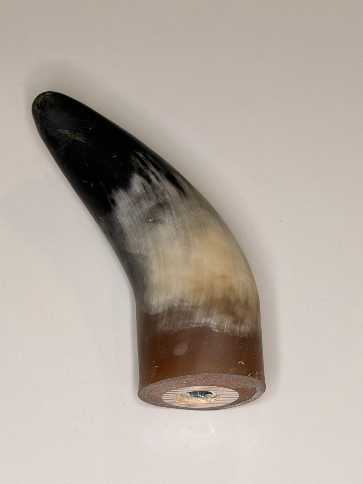 Bruno – Horn-Unikat 2026-01-01