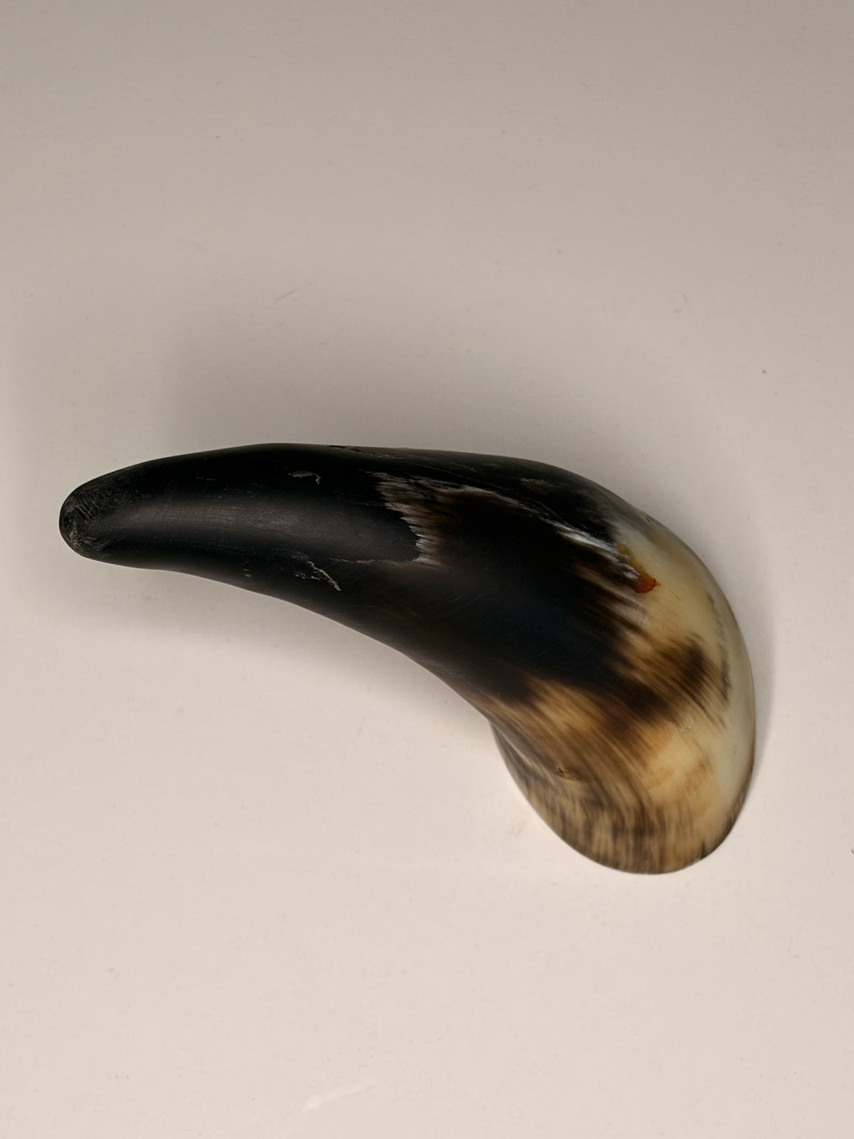 Bruno Horn-Unikat 2026-01-02 – Hauptbild