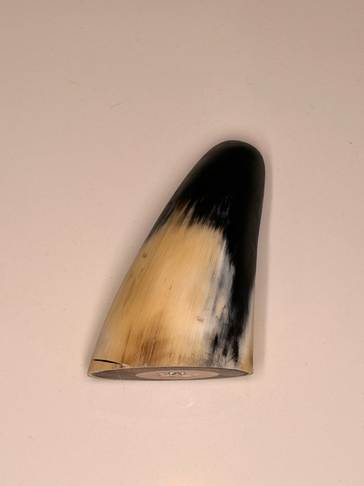 Bruno Horn-Unikat 2026-01-03 – Detailfoto