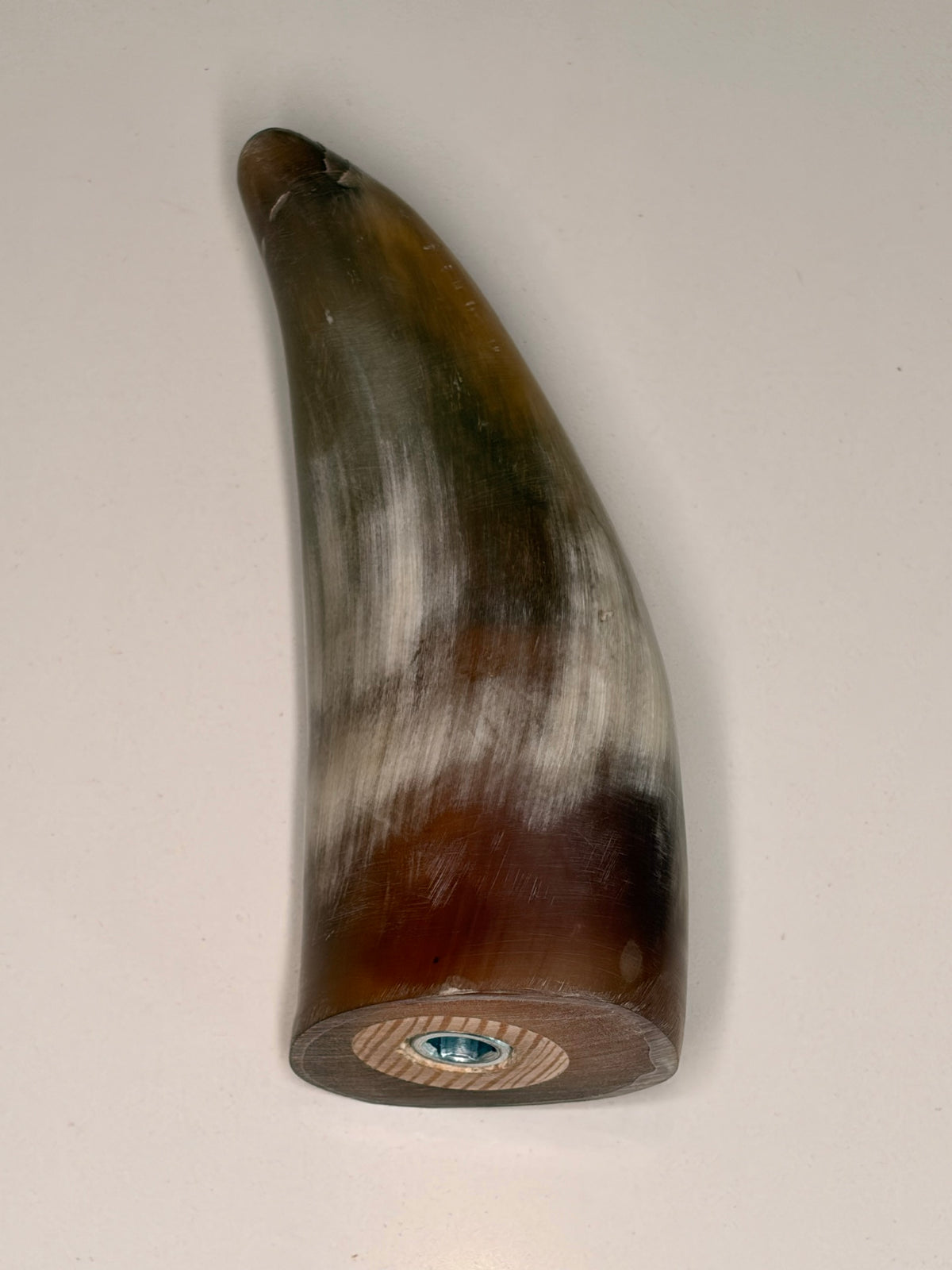 Bruno Horn-Unikat 2026-01-05 – Detailfoto