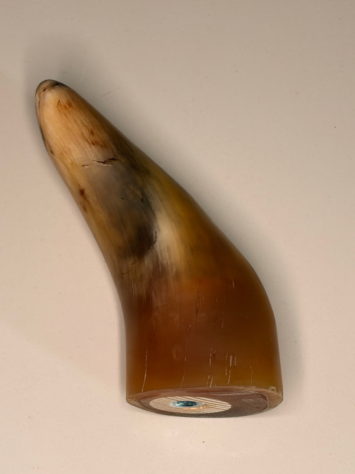 Bruno Horn-Unikat 2026-01-08 – Detailfoto