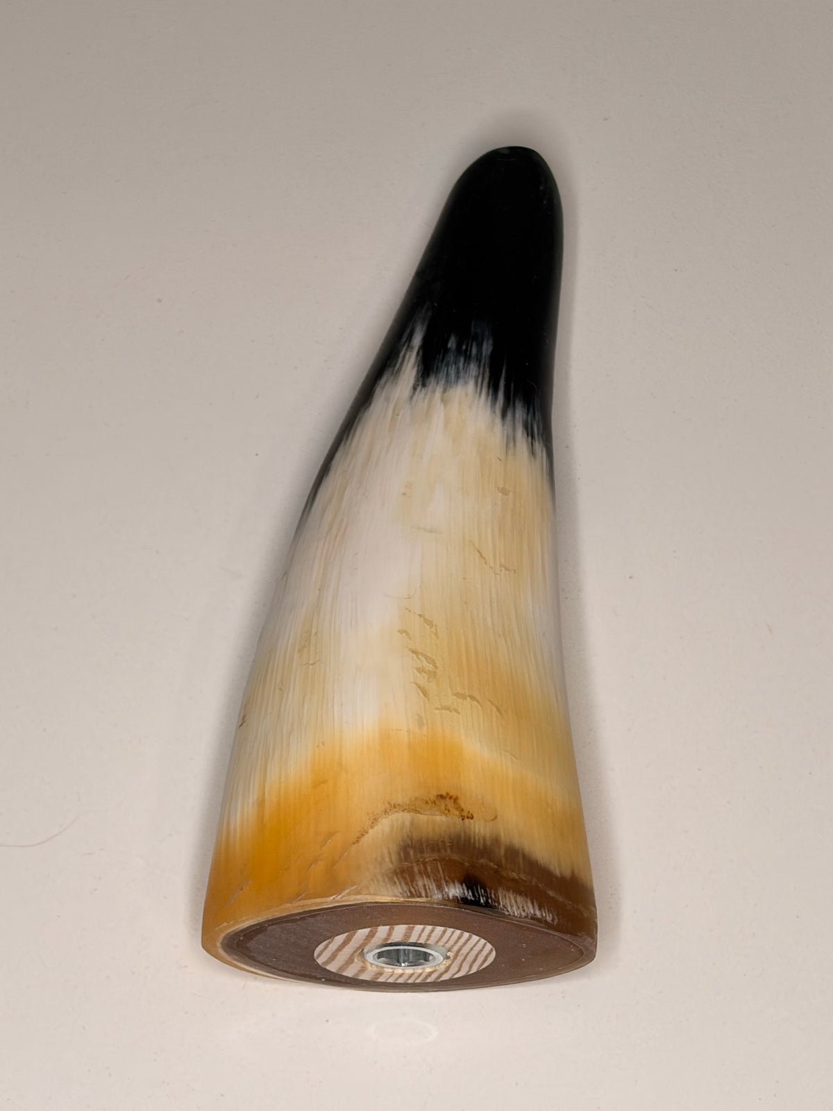 Alma – Horn-Unikat 2026-01-12