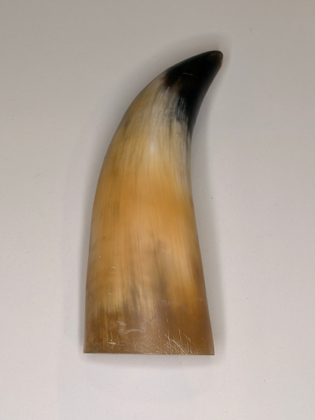 Alma Horn-Unikat 2026-01-15 – Detailfoto