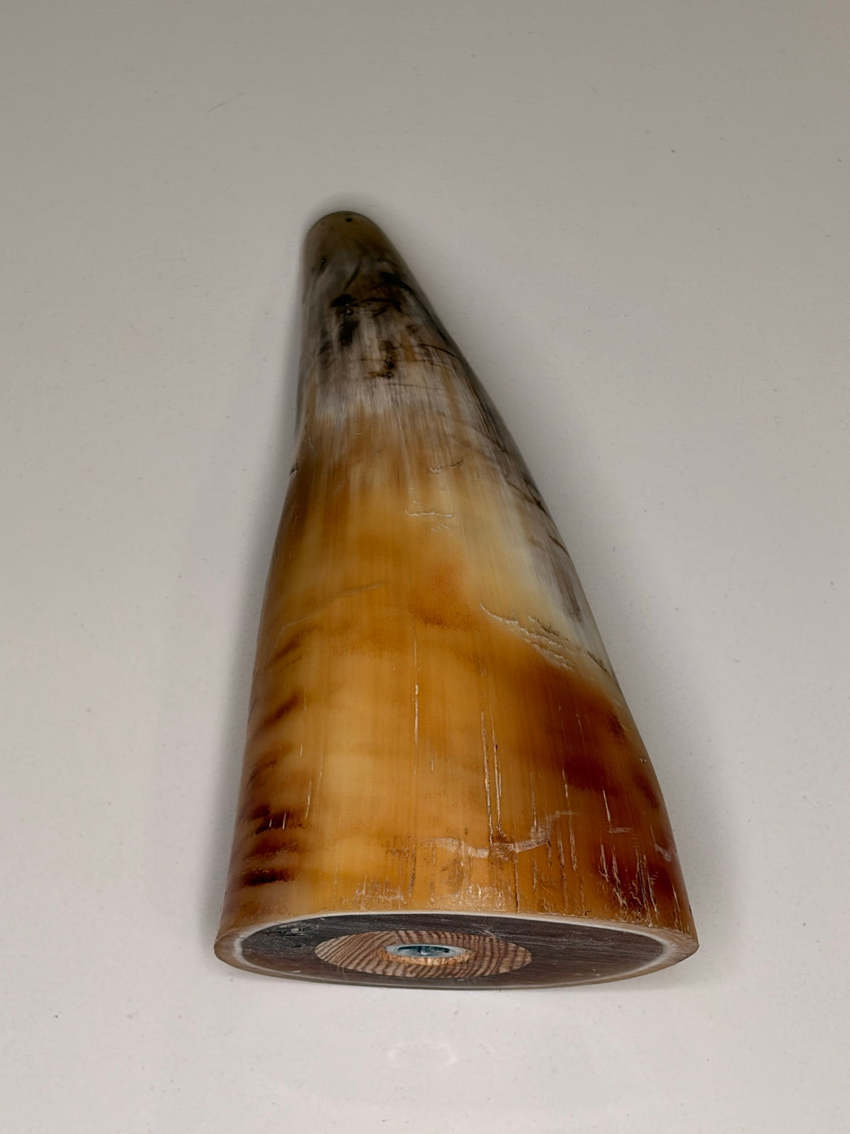 Alma Horn-Unikat 2026-01-16 – Detailfoto