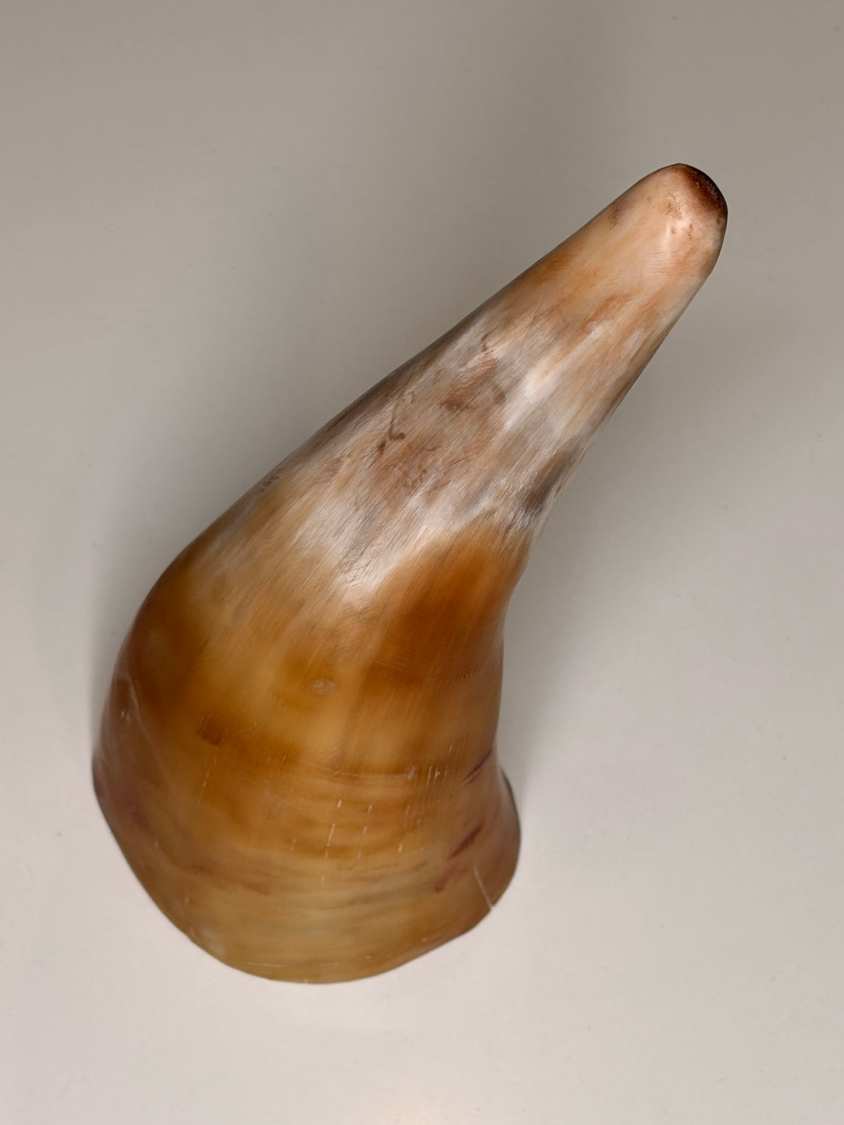 Alma Horn-Unikat 2026-02-01 – Hauptbild