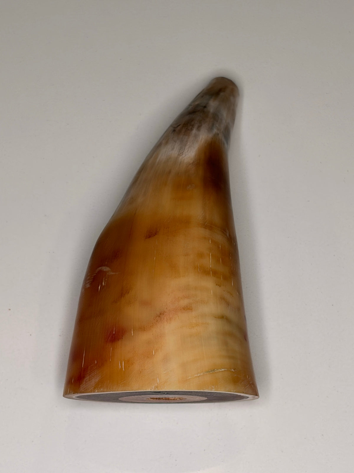 Alma Horn-Unikat 2026-02-01 – Detailfoto