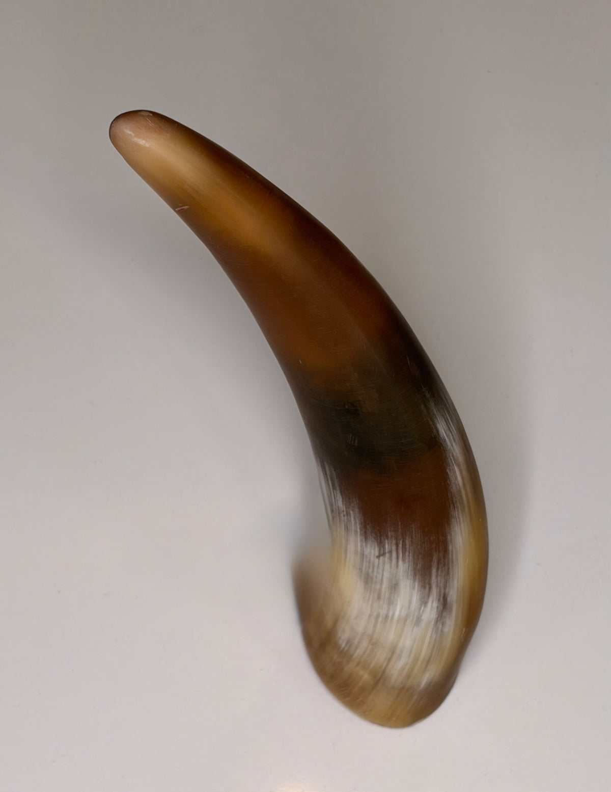 Alma Horn-Unikat 2026-02-02 – Hauptbild