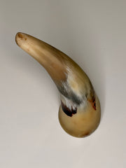 Alma Horn-Unikat 2026-02-03 – Hauptbild