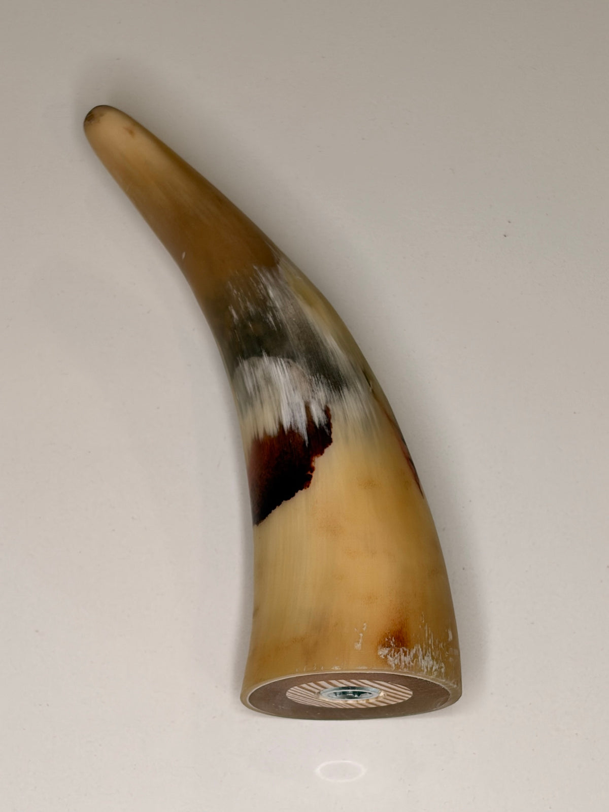 Alma Horn-Unikat 2026-02-03 – Detailfoto