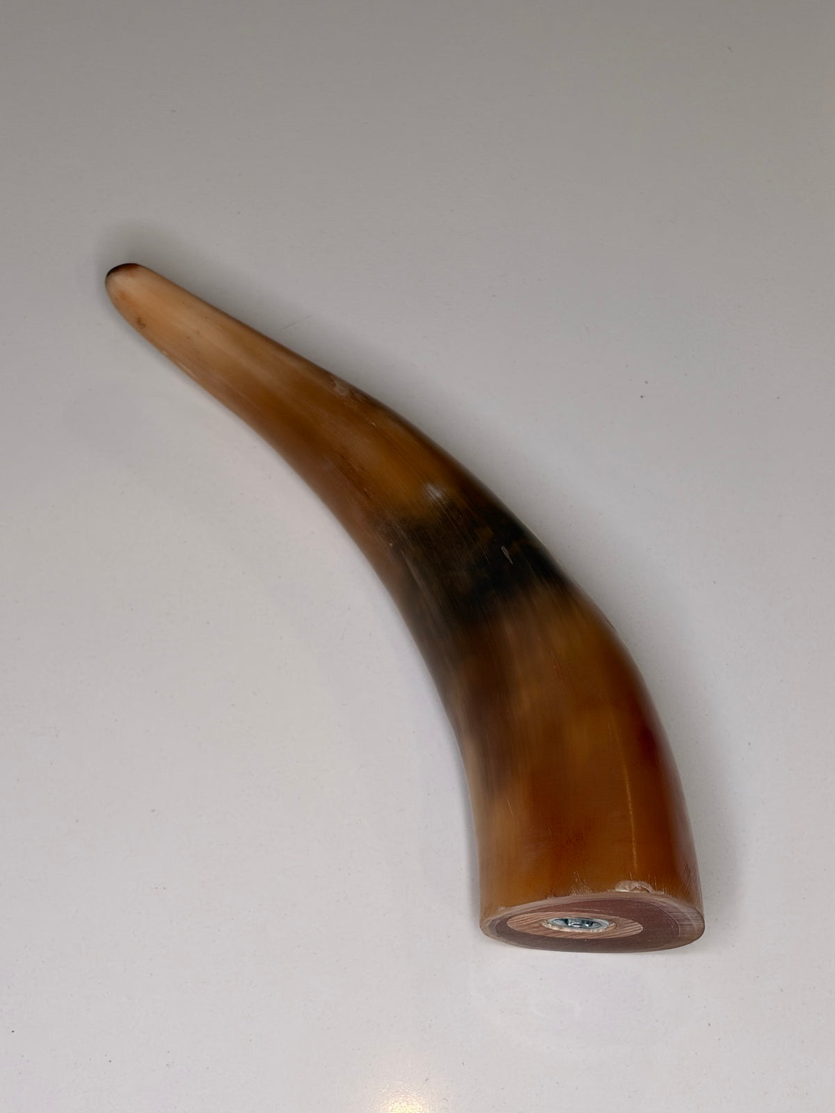 Alma Horn-Unikat 2026-02-04 – Detailfoto