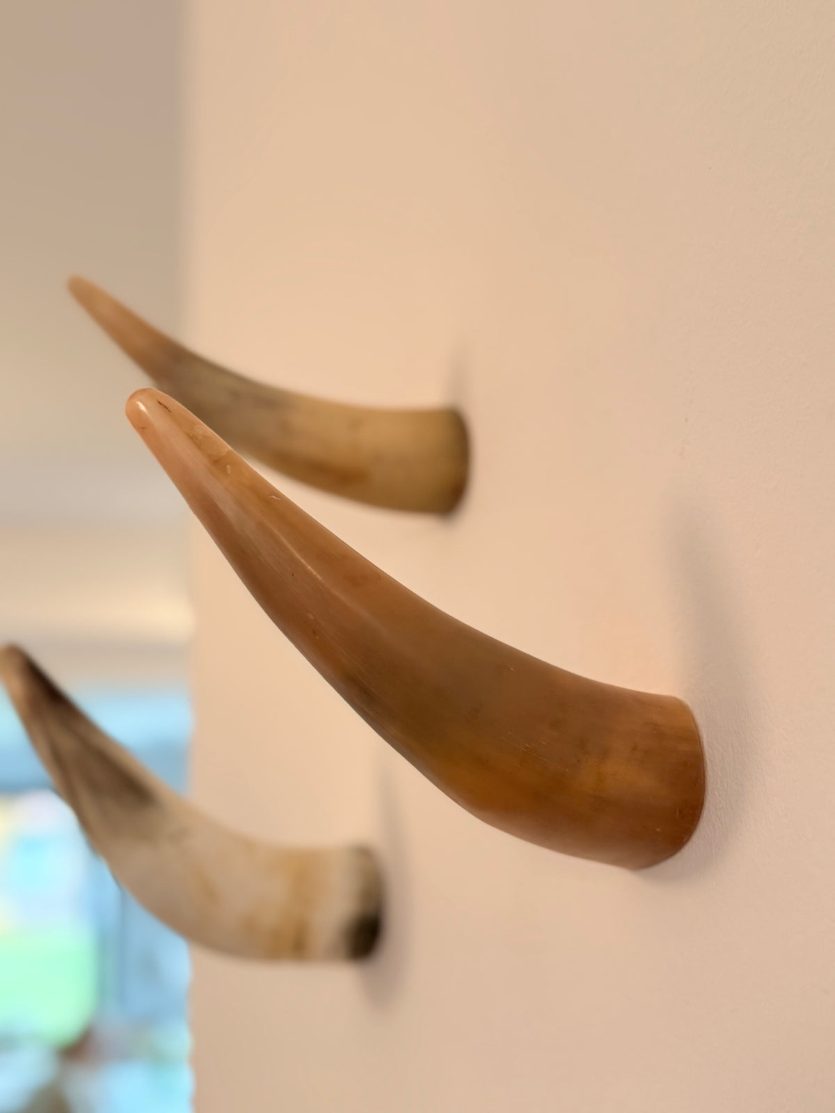 Alma Horn-Unikat 2026-02-04 – Wandfoto
