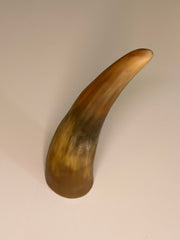 Alma Horn-Unikat 2026-02-05 – Hauptbild