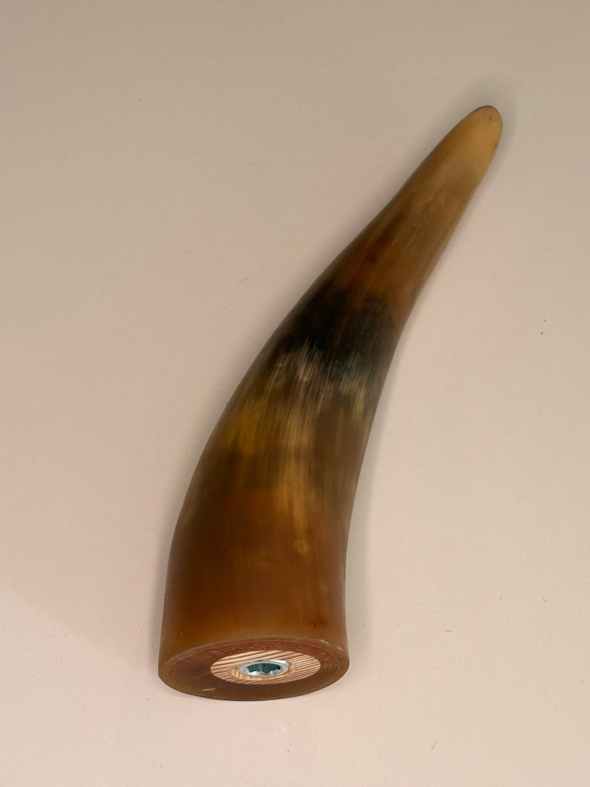 Alma Horn-Unikat 2026-02-05 – Detailfoto