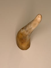 Alma Horn-Unikat 2026-02-06 – Hauptbild