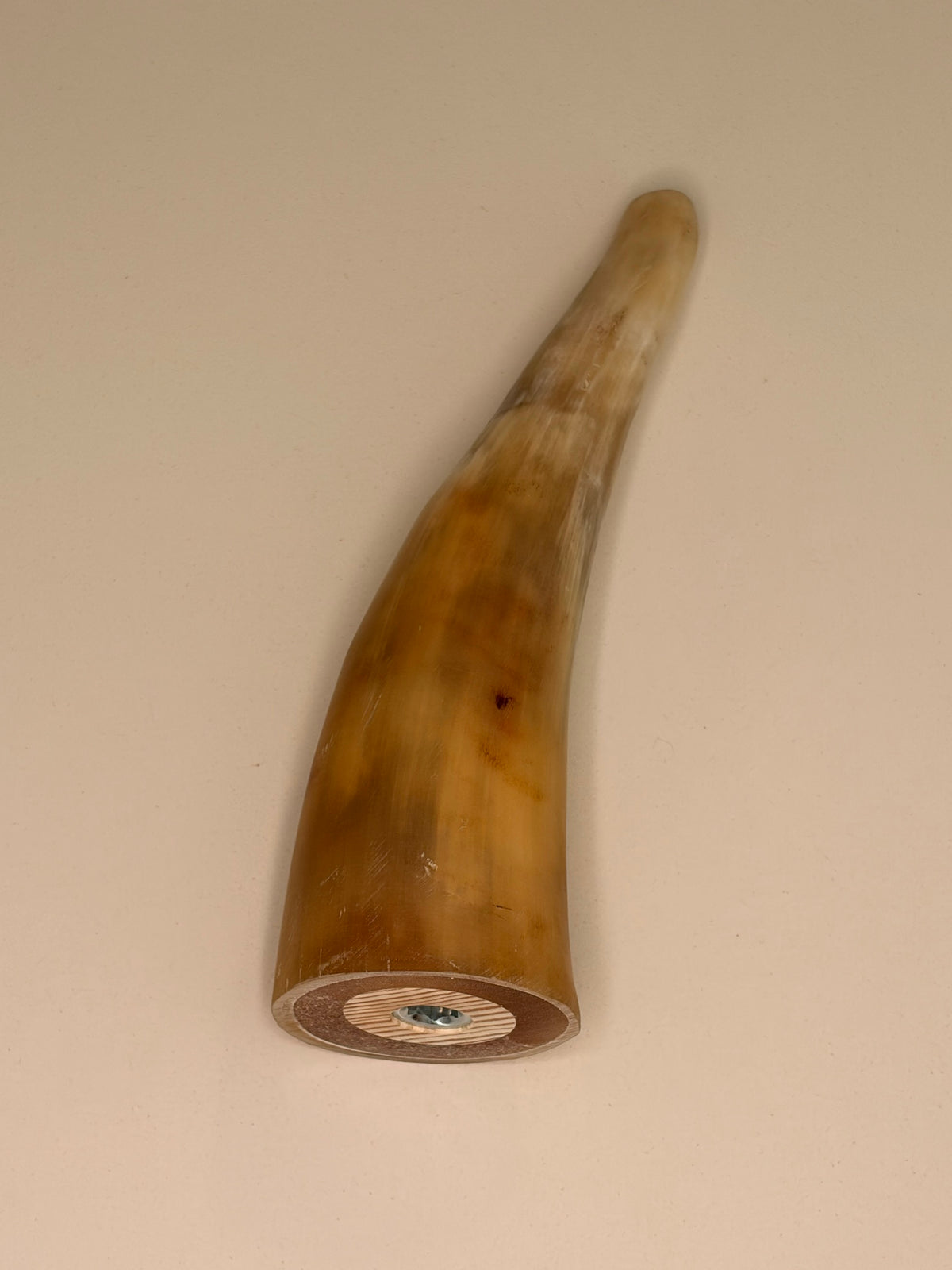 Alma Horn-Unikat 2026-02-06 – Detailfoto