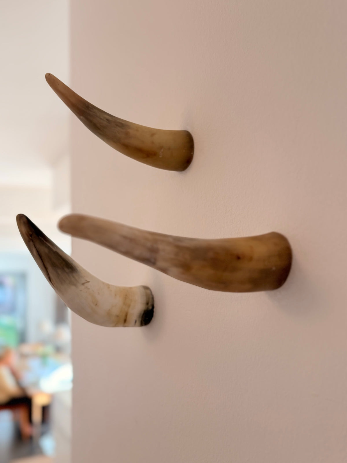 Alma Horn-Unikat 2026-02-06 – Wandfoto