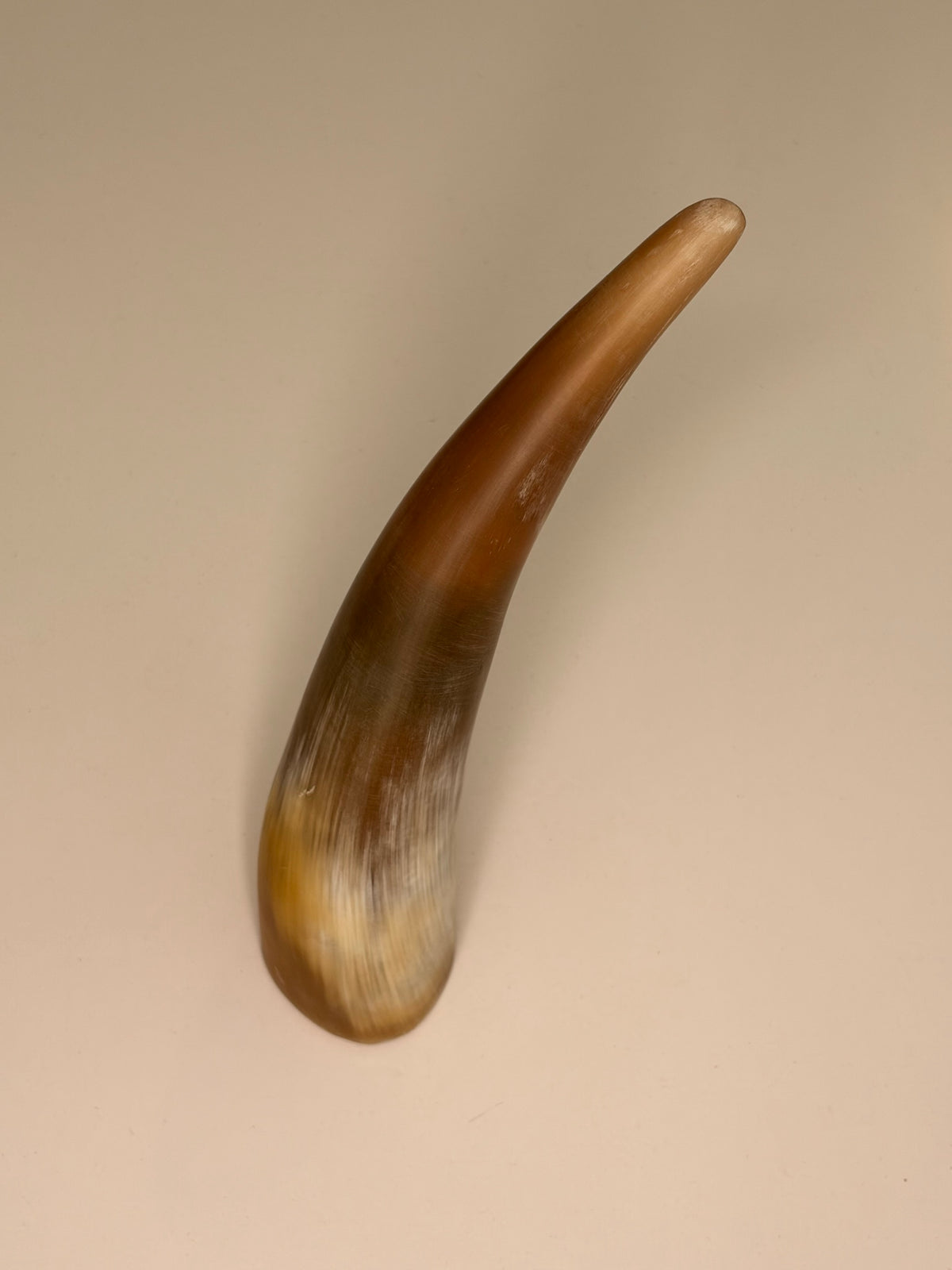Alma Horn-Unikat 2026-02-07 – Hauptbild