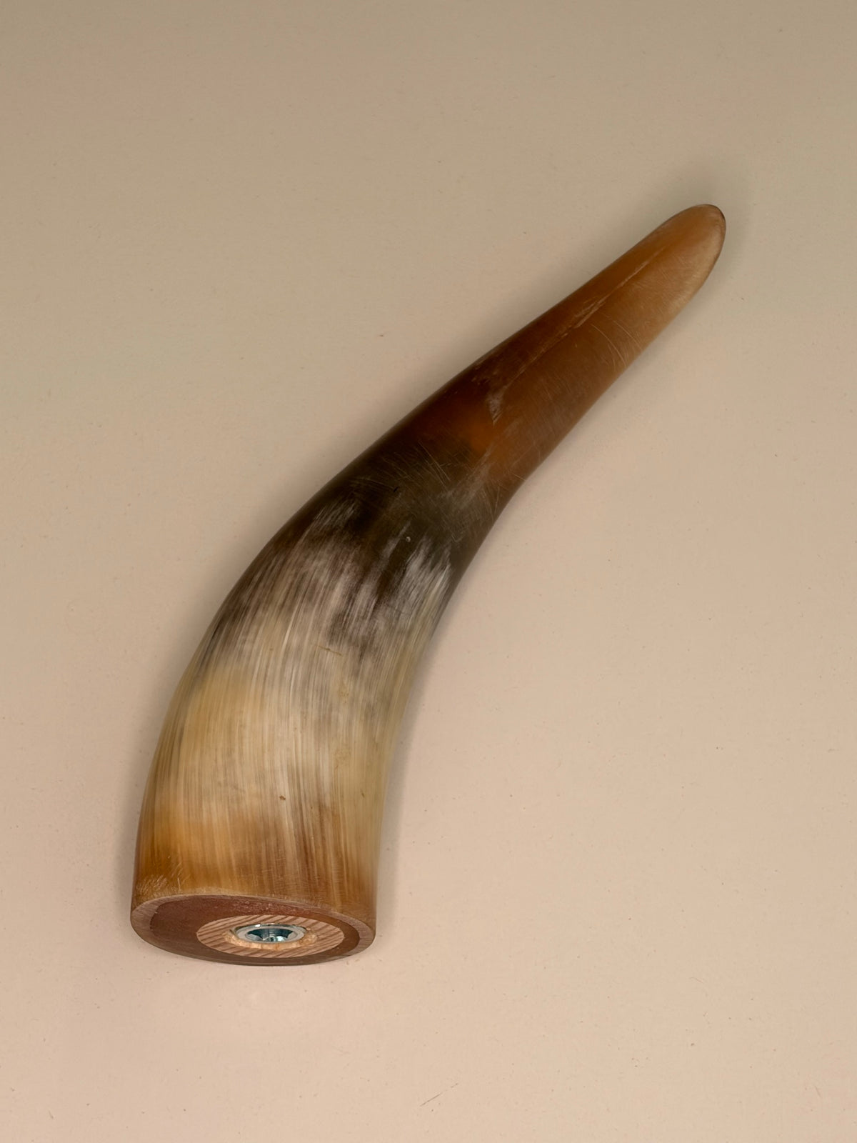 Alma Horn-Unikat 2026-02-07 – Detailfoto