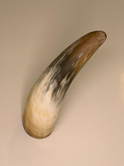 Xaver Horn-Unikat 2026-02-08 – Hauptbild
