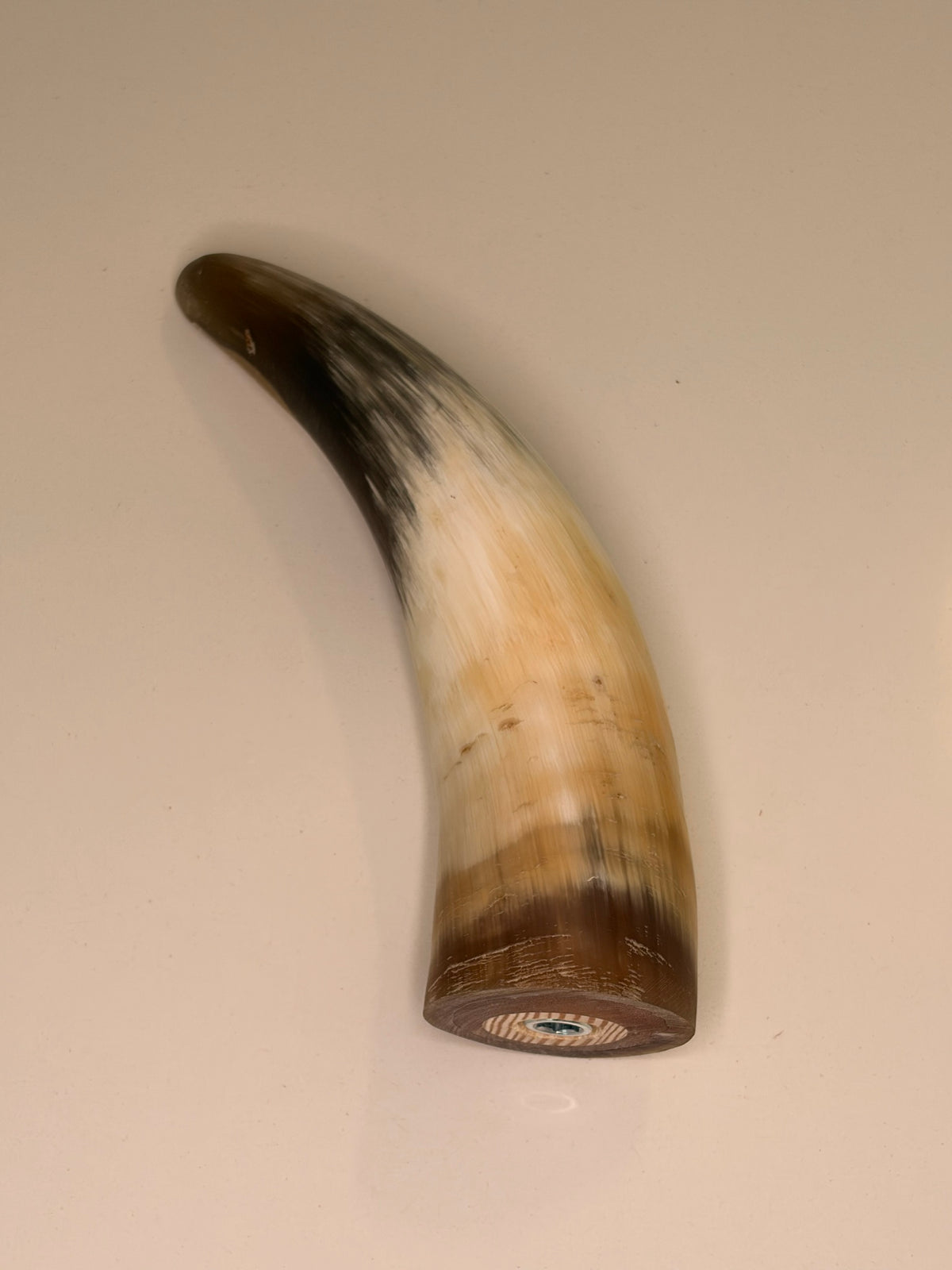 Xaver – Horn-Unikat 2026-02-08