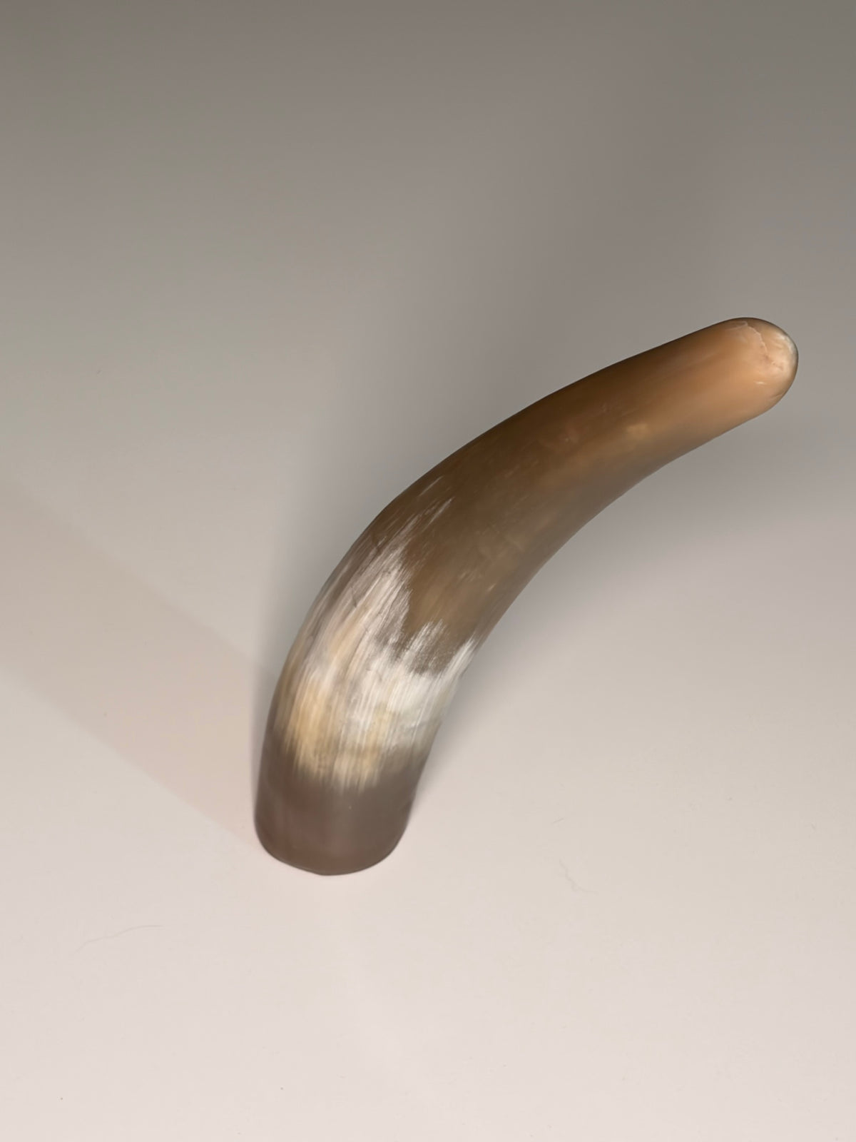 Xaver Horn-Unikat 2026-02-09 – Hauptbild