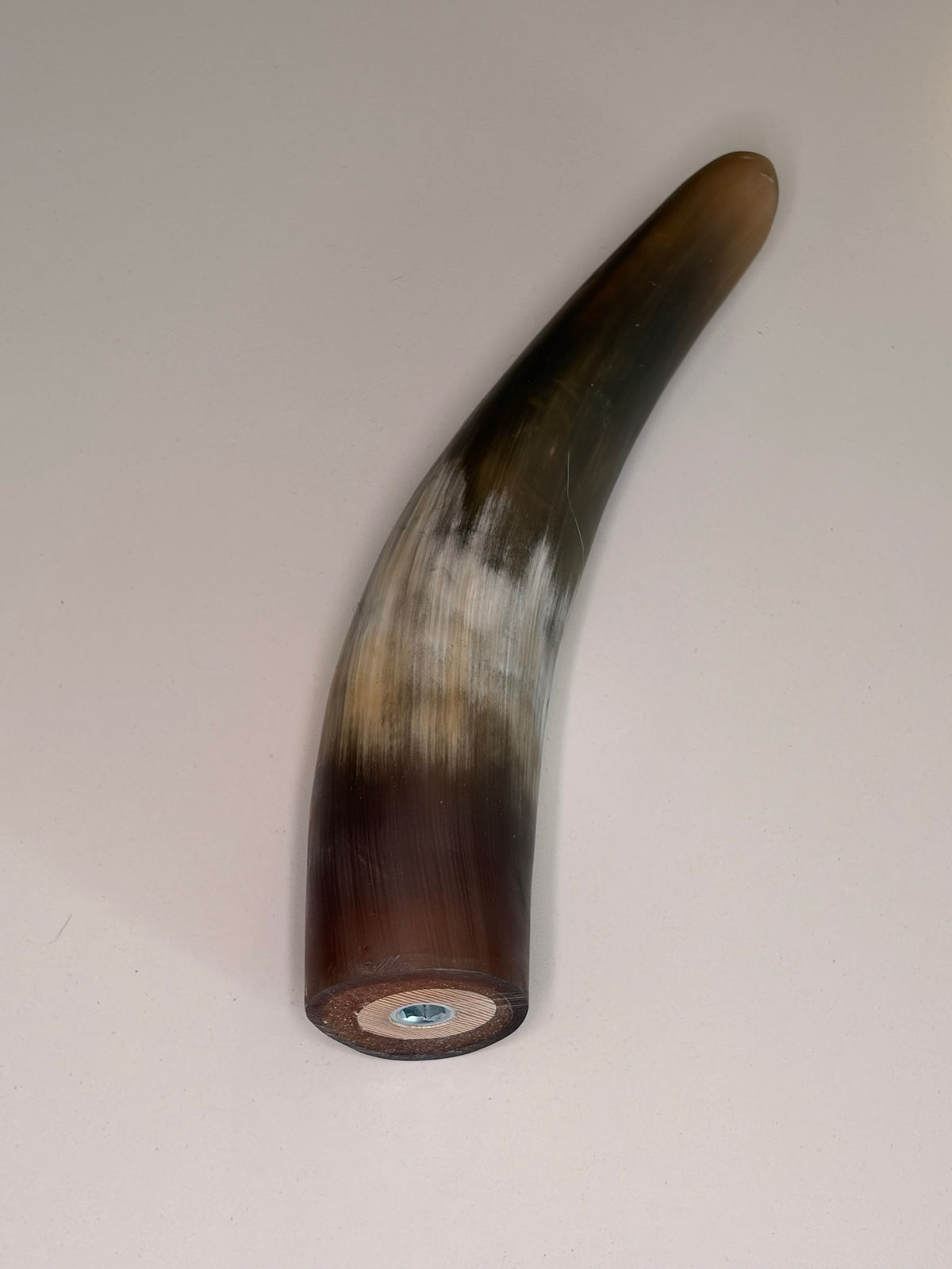 Xaver Horn-Unikat 2026-02-09 – Detailfoto