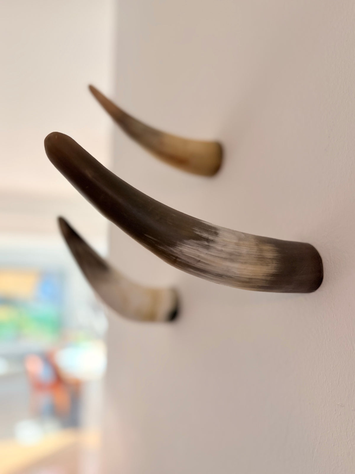 Xaver Horn-Unikat 2026-02-09 – Wandfoto