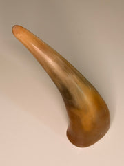 Xaver Horn-Unikat 2026-02-10 – Hauptbild