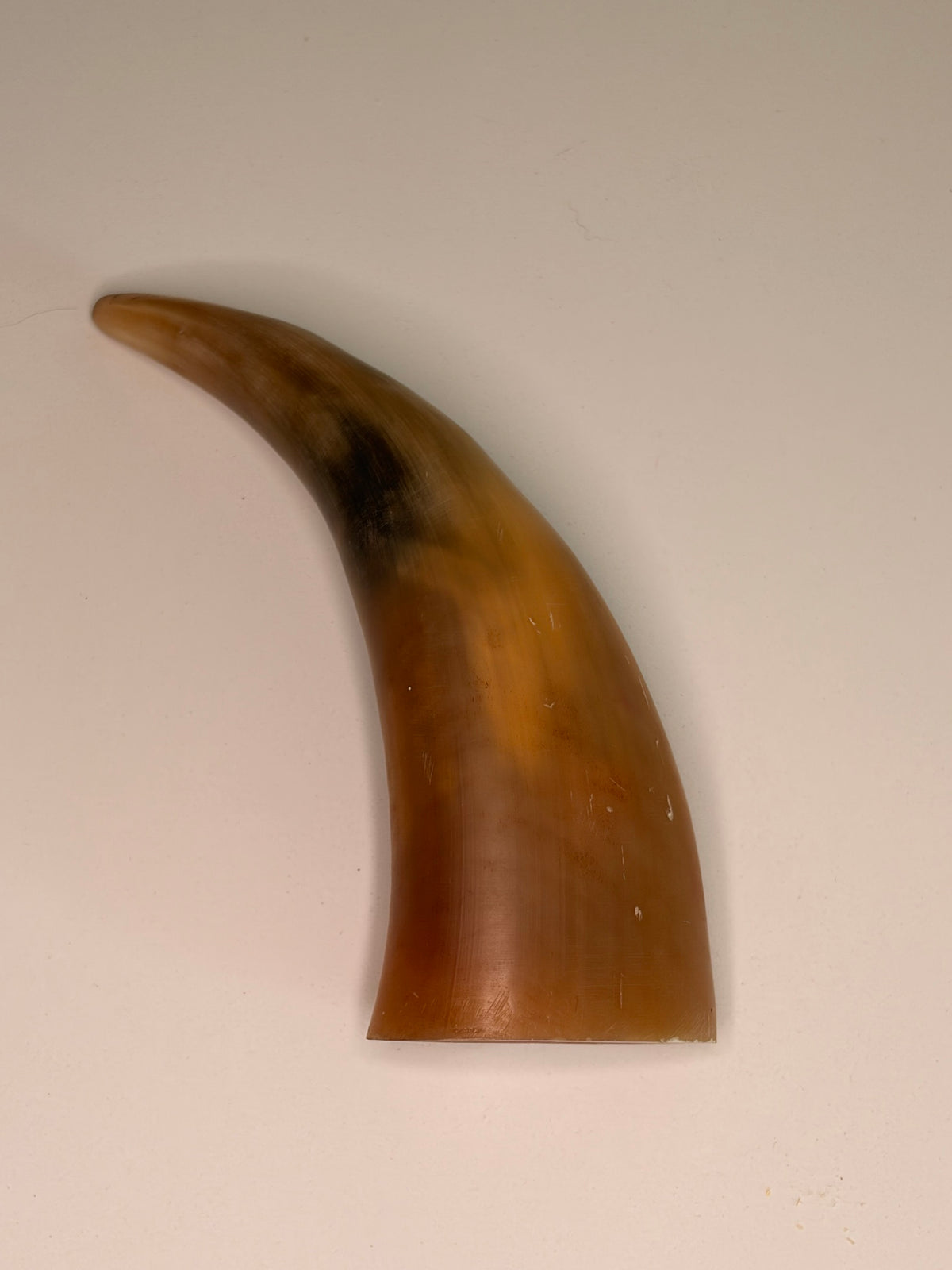 Xaver Horn-Unikat 2026-02-10 – Detailfoto