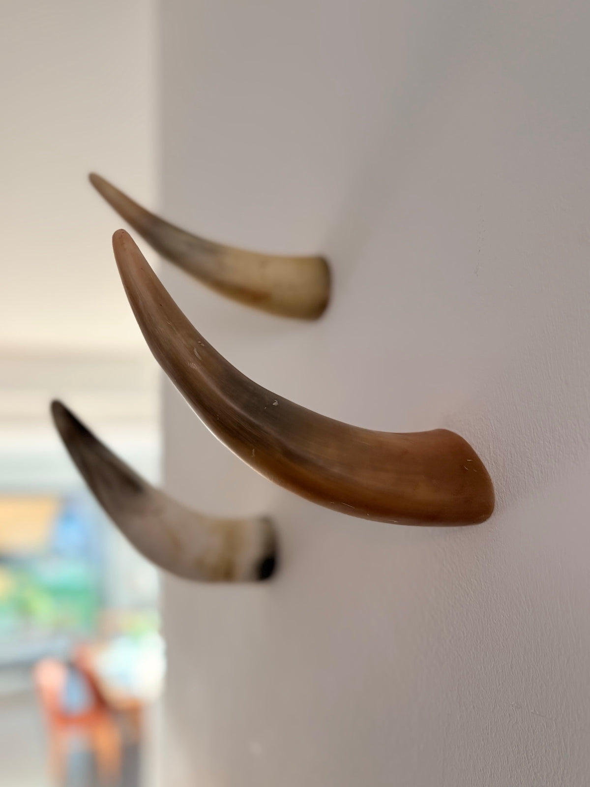 Xaver Horn-Unikat 2026-02-10 – Wandfoto