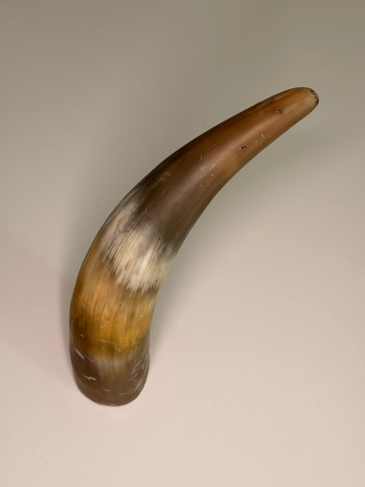 Xaver Horn-Unikat 2026-02-11 – Hauptbild