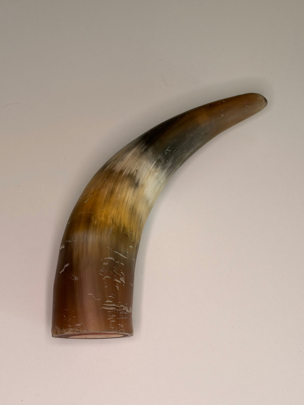 Xaver Horn-Unikat 2026-02-11 – Detailfoto