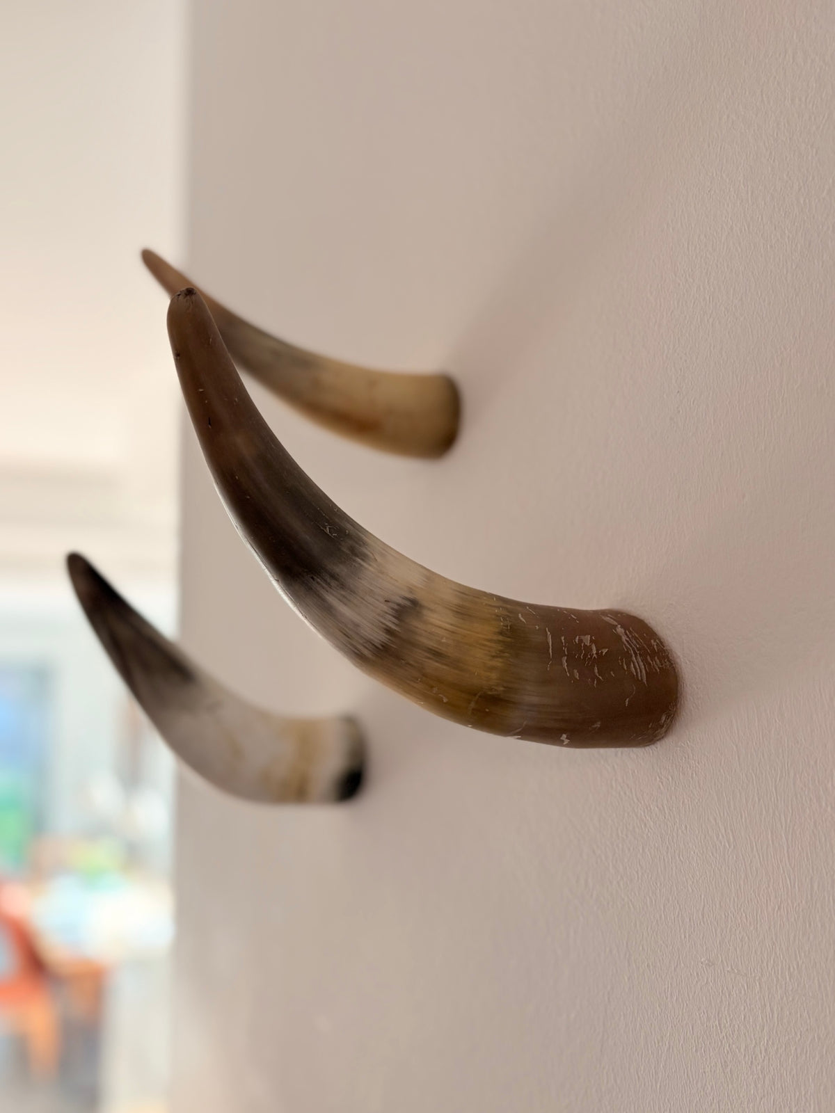 Xaver Horn-Unikat 2026-02-11 – Wandfoto