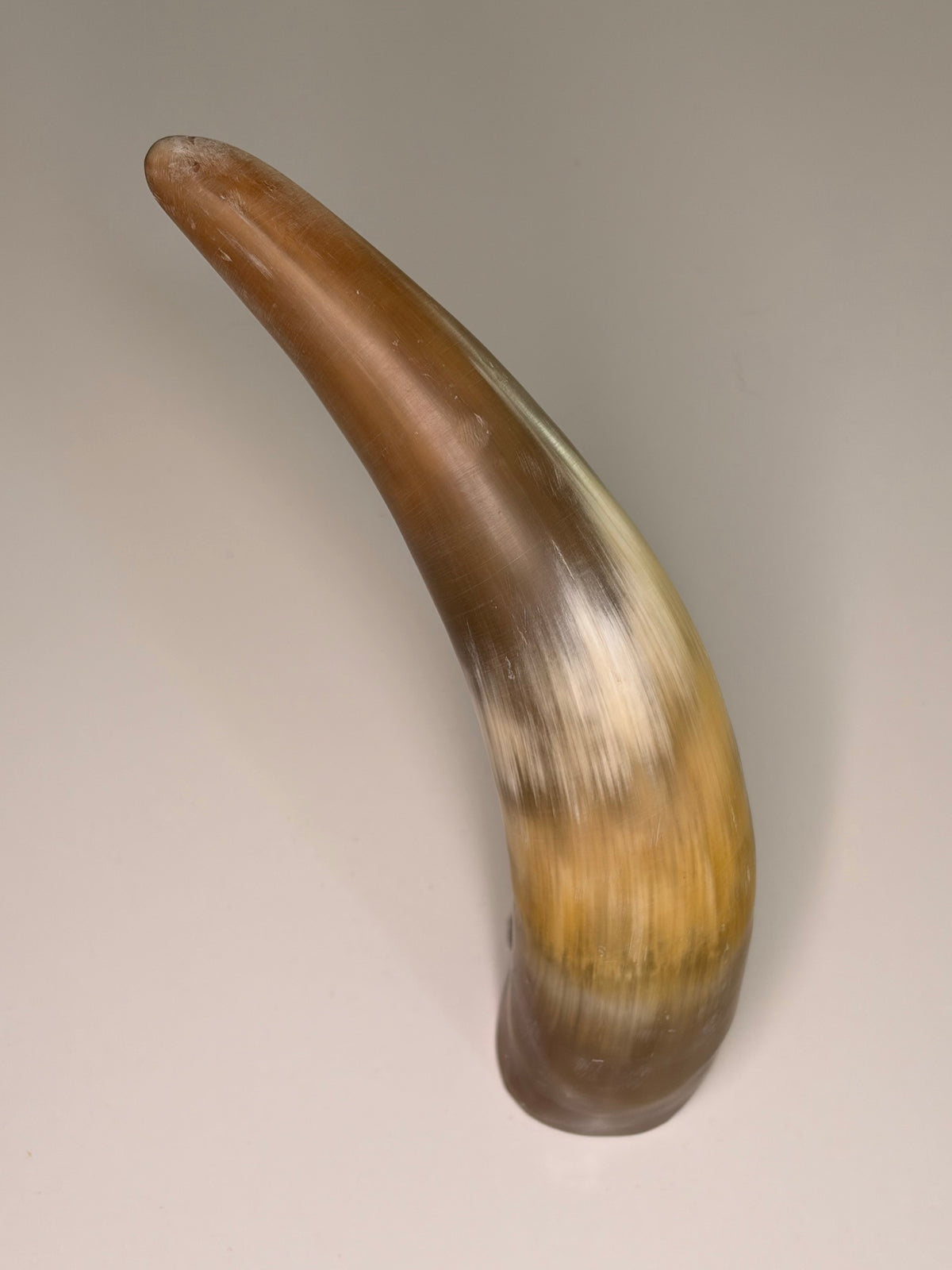 Xaver Horn-Unikat 2026-02-12 – Hauptbild