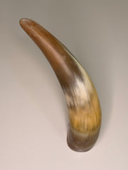 Xaver Horn-Unikat 2026-02-12 – Hauptbild