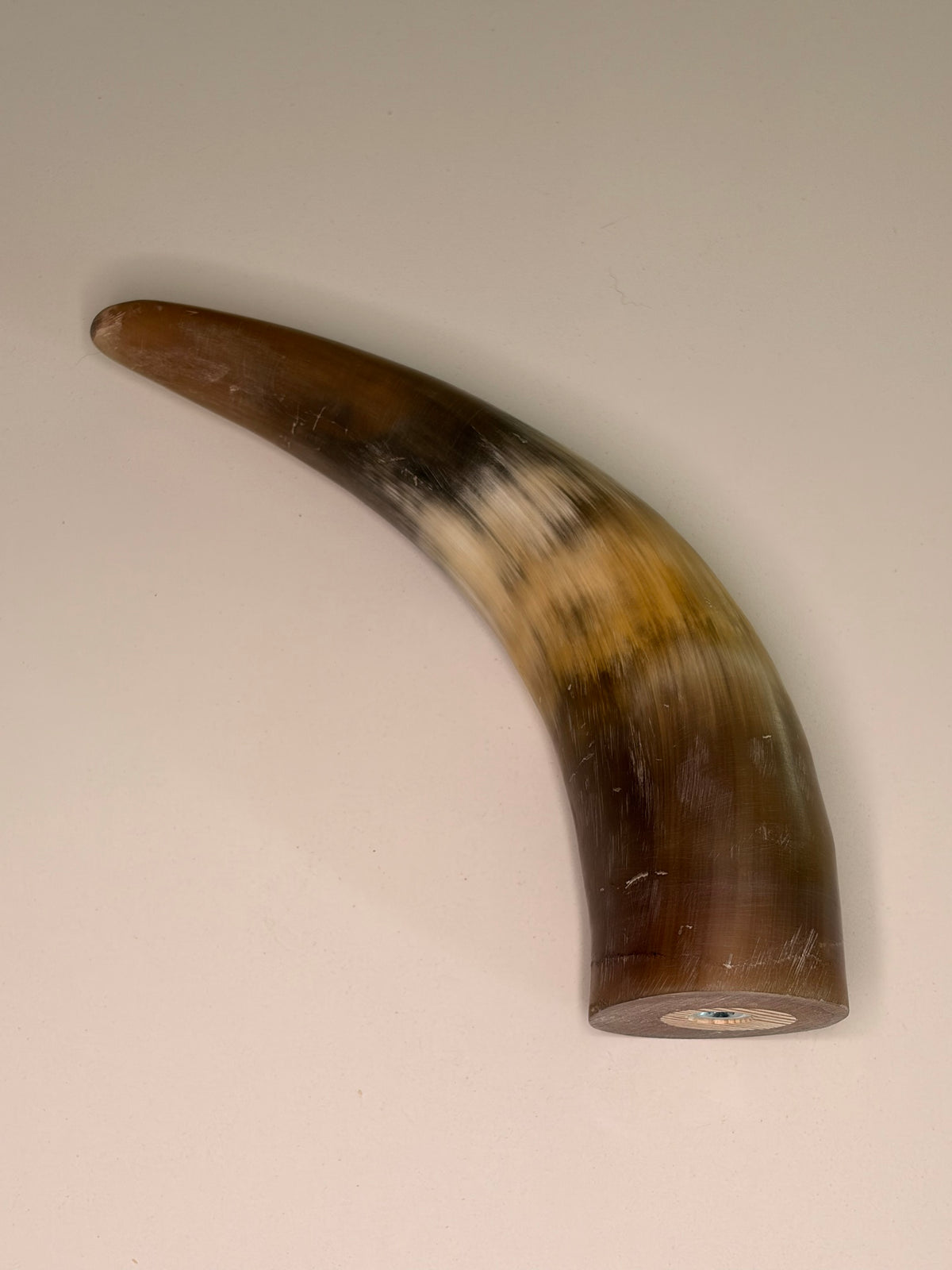 Xaver Horn-Unikat 2026-02-12 – Detailfoto