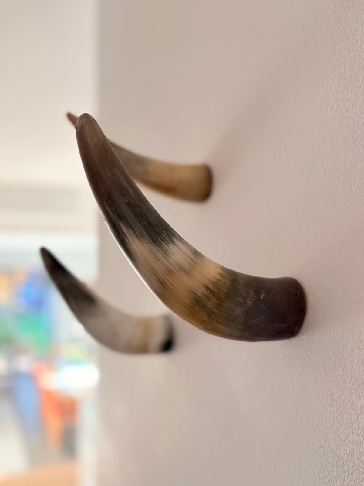 Xaver Horn-Unikat 2026-02-12 – Wandfoto