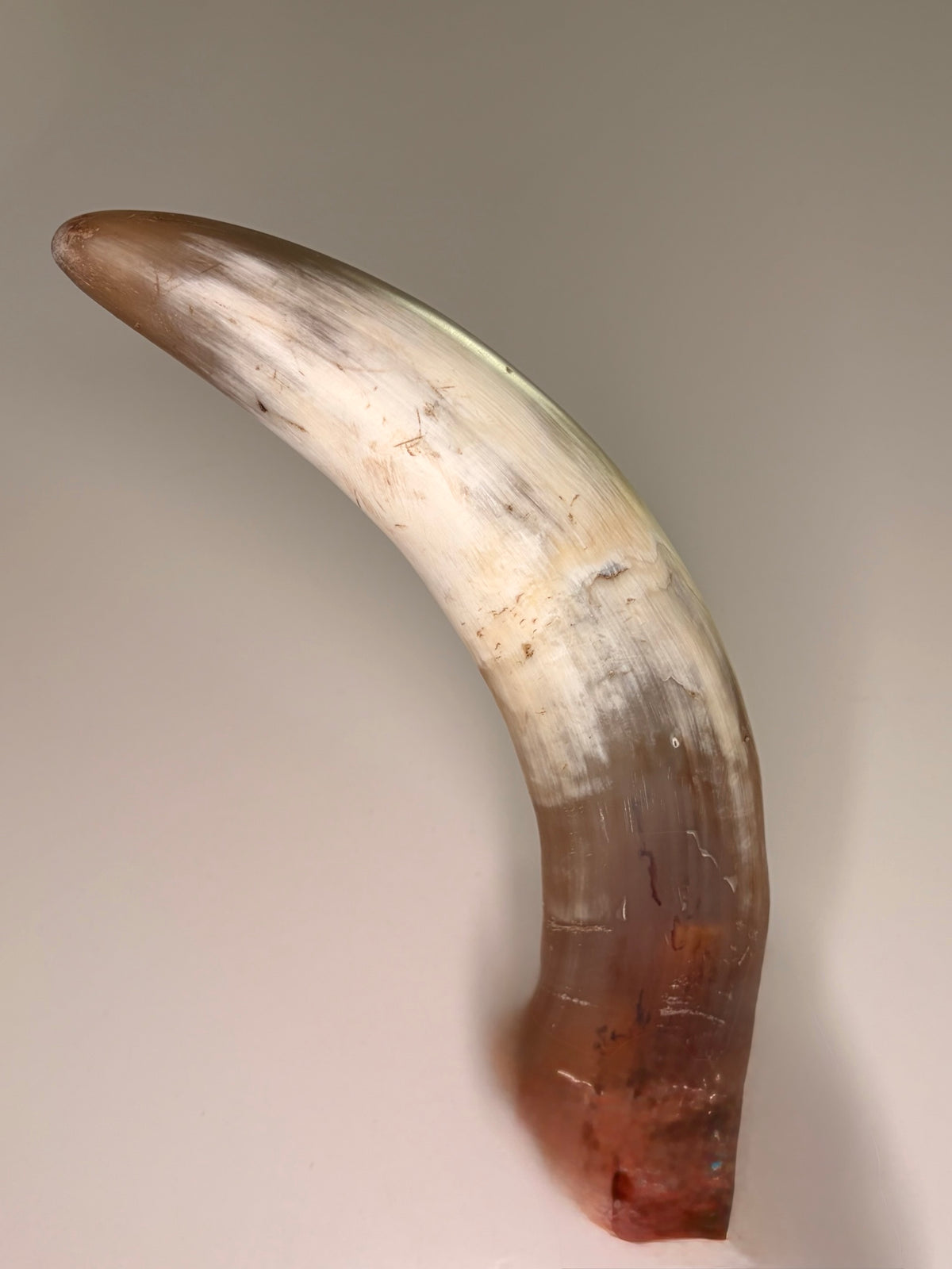 Xaver Horn-Unikat 2026-02-13 – Hauptbild