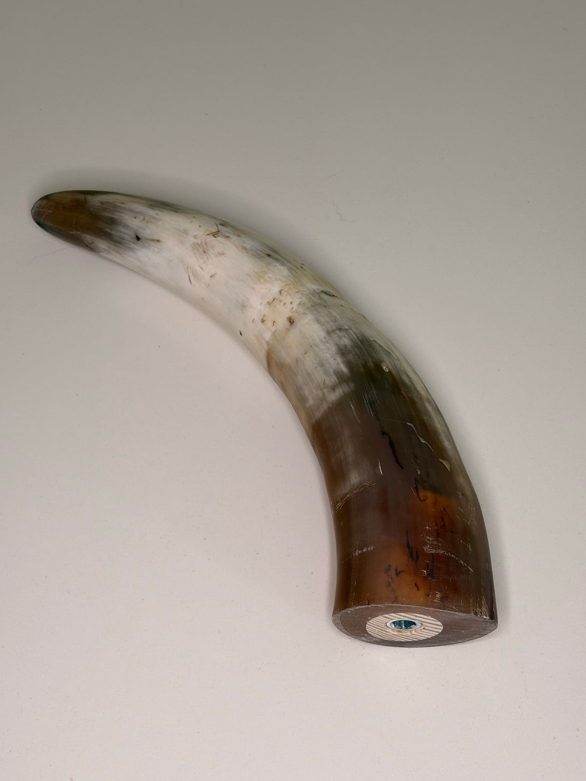 Xaver Horn-Unikat 2026-02-13 – Detailfoto