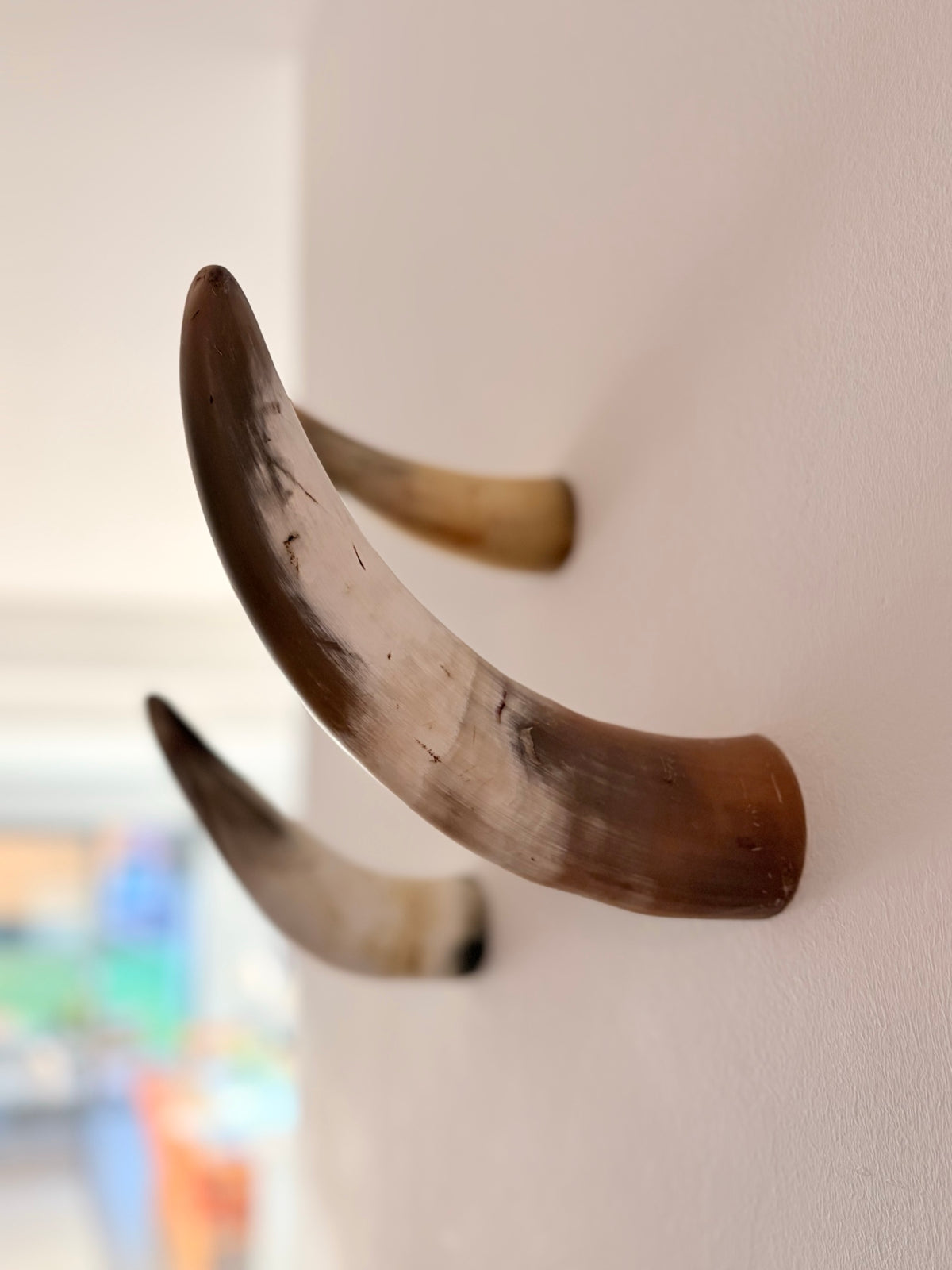 Xaver Horn-Unikat 2026-02-13 – Wandfoto